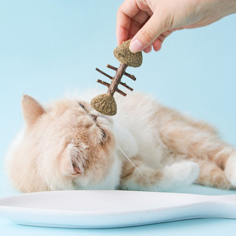 Miniature : 1.97in Wooden Catnip Cat 