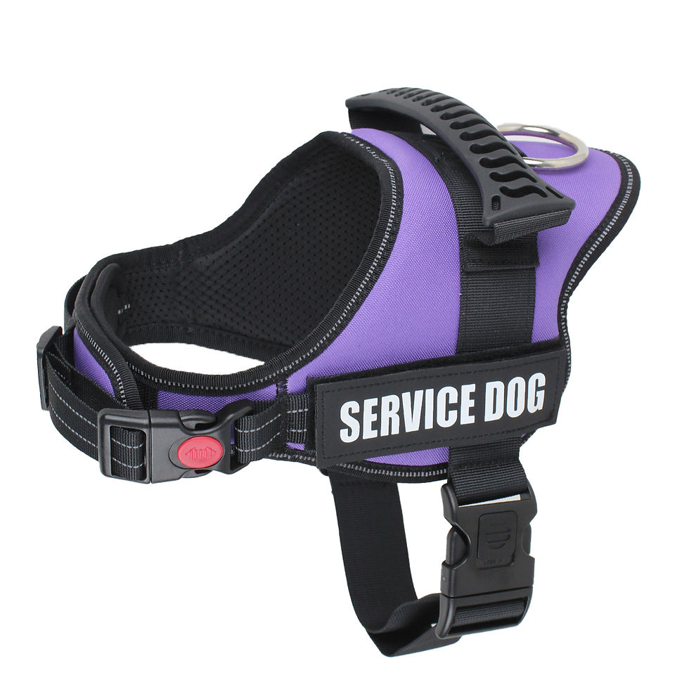 Miniature : Dogs Harness