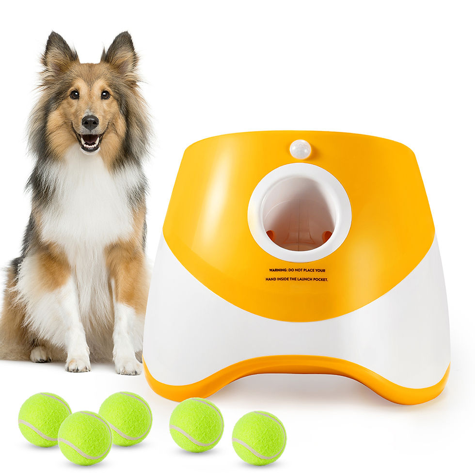 Miniature : Dog Automatic Ball Launcher Interactive Toy,