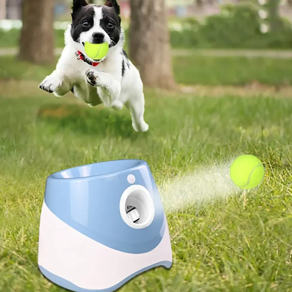 Miniature : Dog Automatic Ball Launcher Interactive Toy,