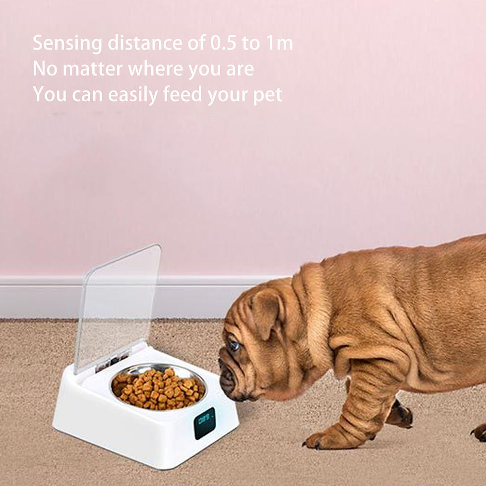 Miniature : Pet Smart Feeder Induction Lid 