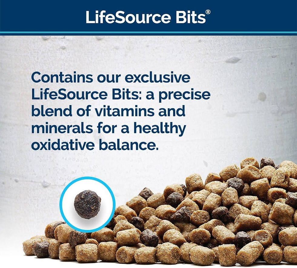 Miniature : Wilderness Rocky Mountain Recipe High Protein, Natural Adult Dry Cat Food, Red M