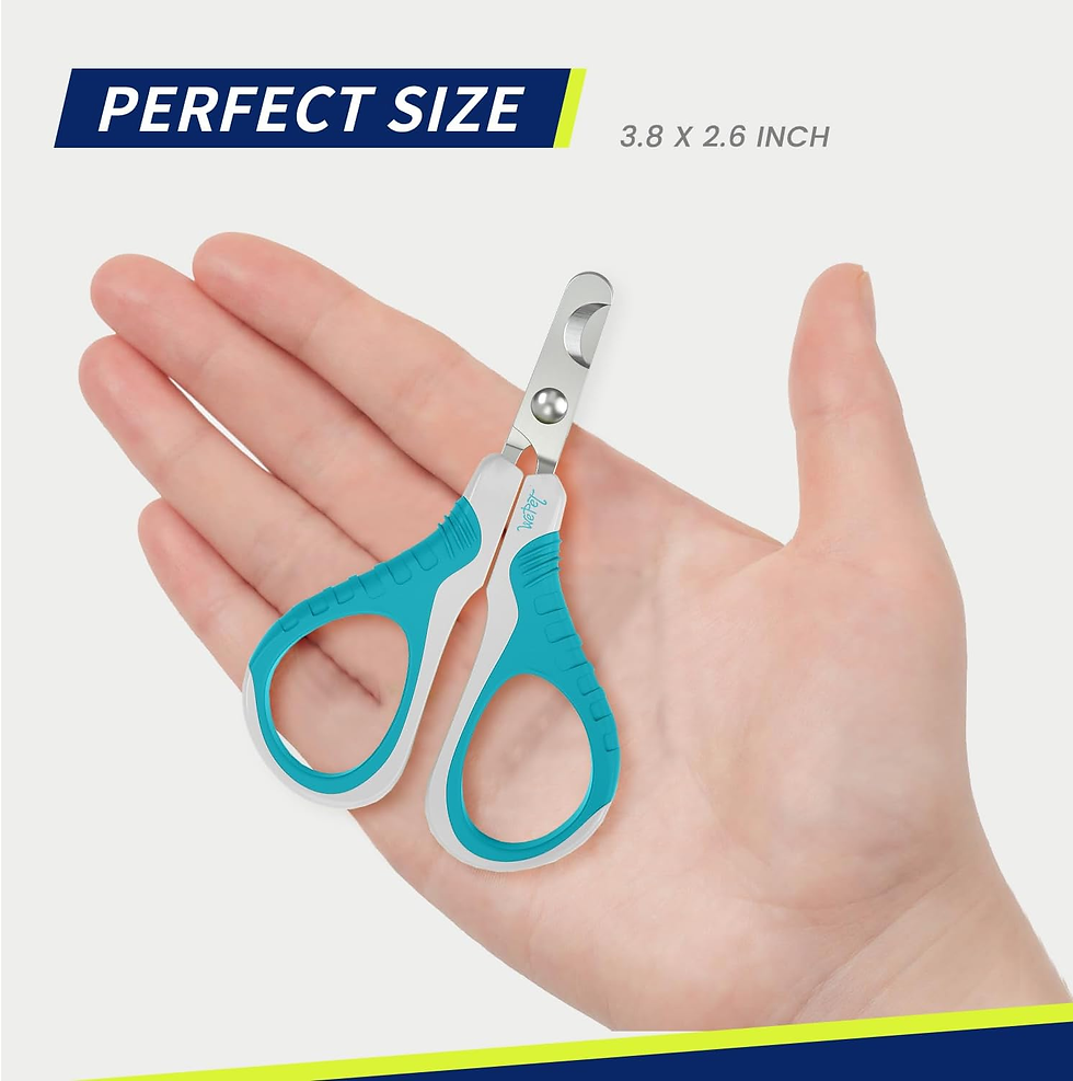 Miniature : Pet Nail Clippers, Professional Claw Trimmer, Bended Scissor Special for Cats, K