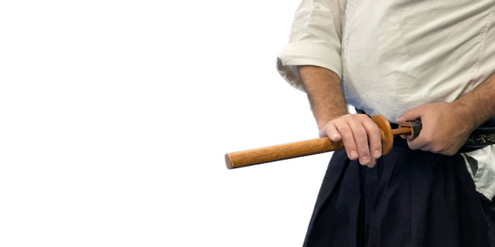 Learn More Hero - Sword_edited.jpg