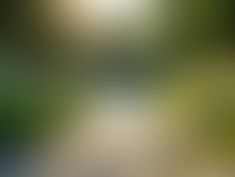 The Art of Mindful Living