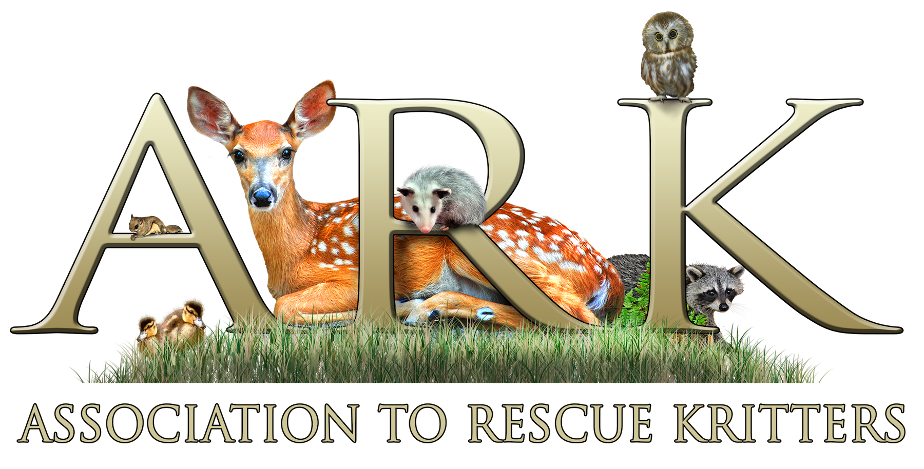 The ARK logo
