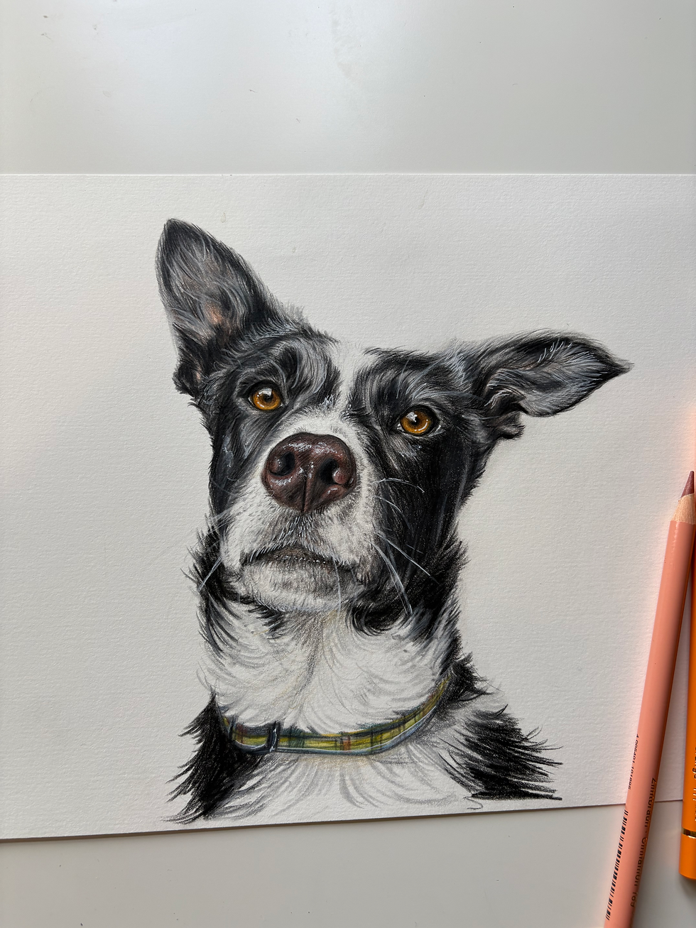 Thumbnail: A3 custom pet portrait (1 pet)