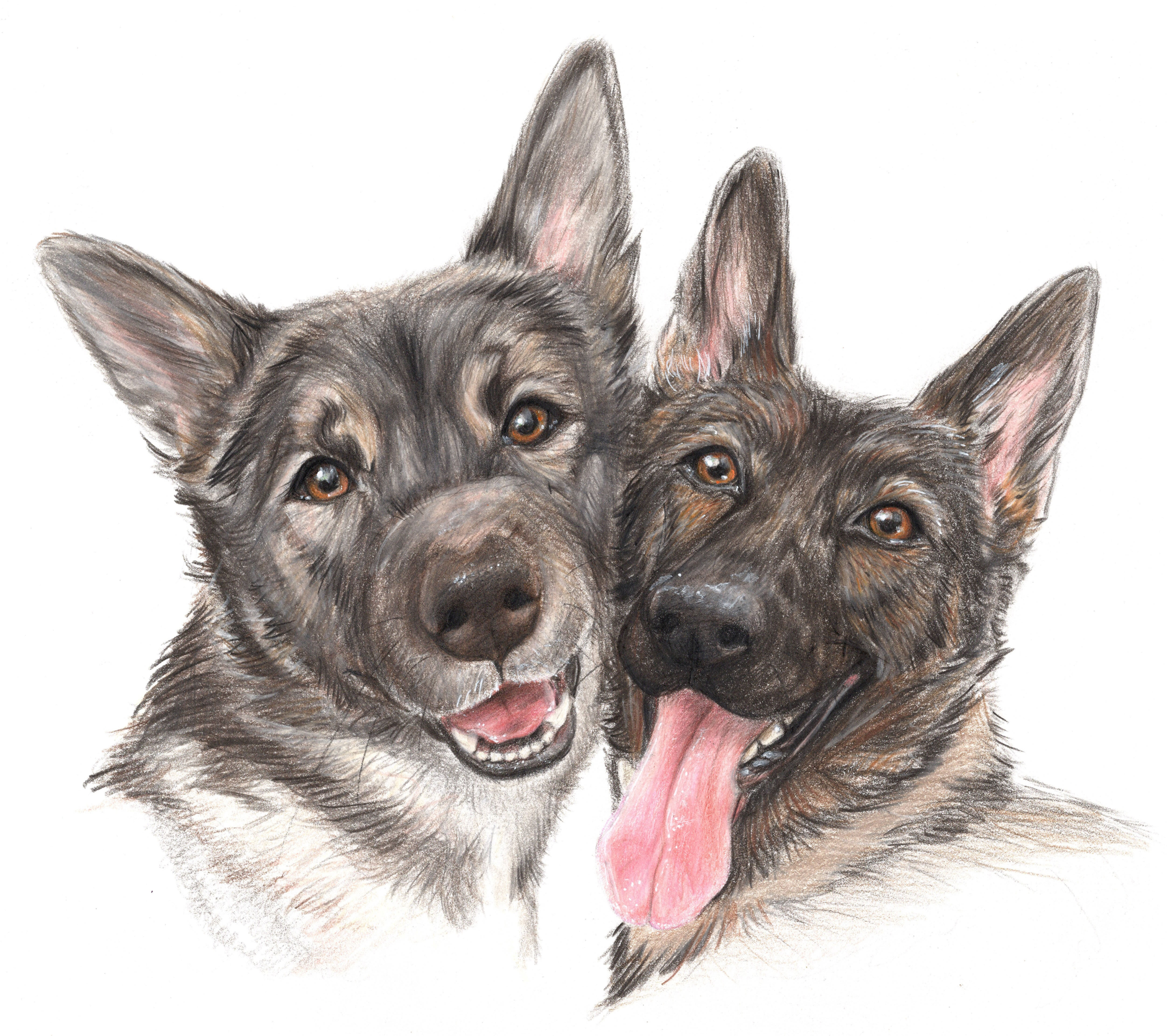 A3 custom pet portrait (2 pets)