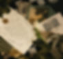 fandfsneaks-1740_edited.jpg