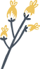 Flower Plant