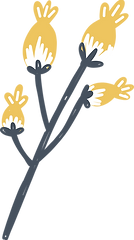 Flower Plant