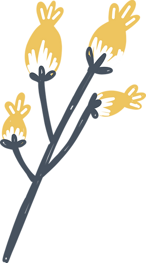 Flower Plant