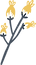 Flower Plant