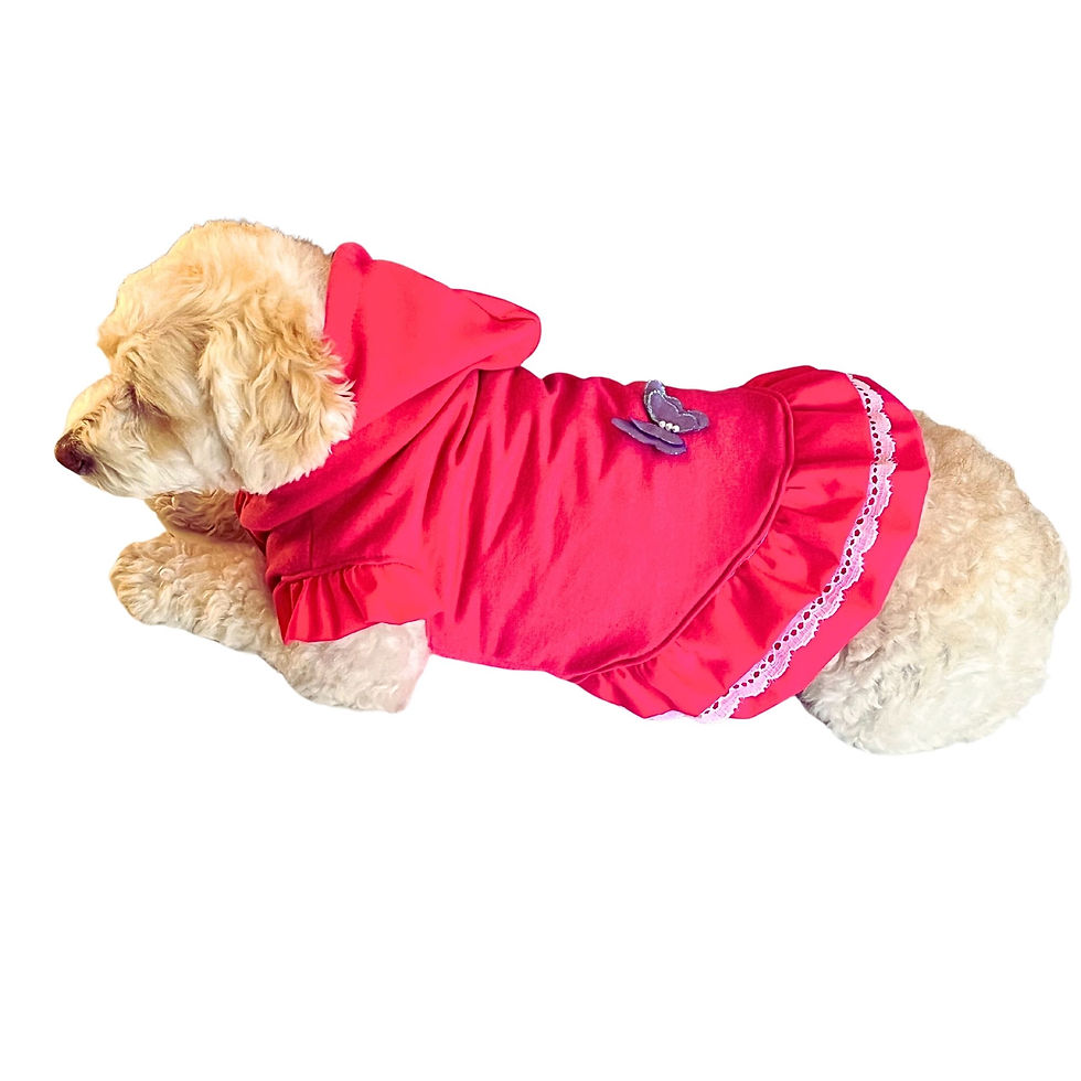 Miniatura: Sudadera con mariposa