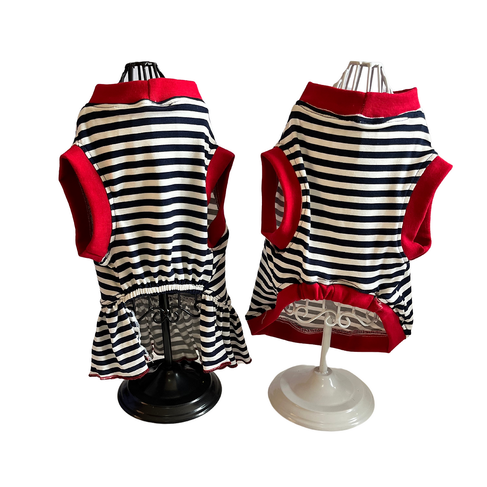 Miniatura: Conjunto marinero