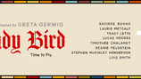 Lady Bird: Beauty In Simplicity