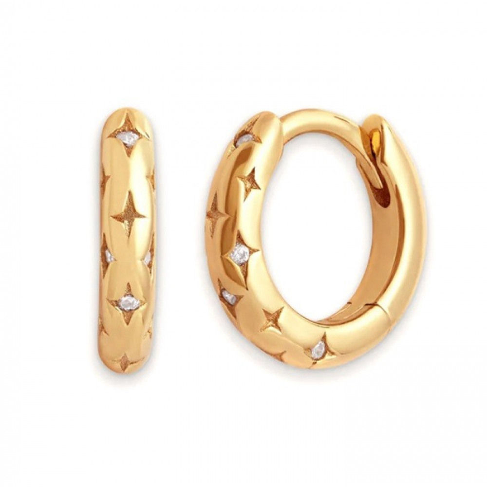 Ohrringe Creolen Edelstahl 316L Vergoldet 14 Karat Wasserfest