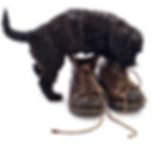 Screen Shot 2022-09-01 at 4.41.37 PM.png