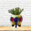 Thumbnail: Elephant Handpainted Decorative Ceramic Flower Pot