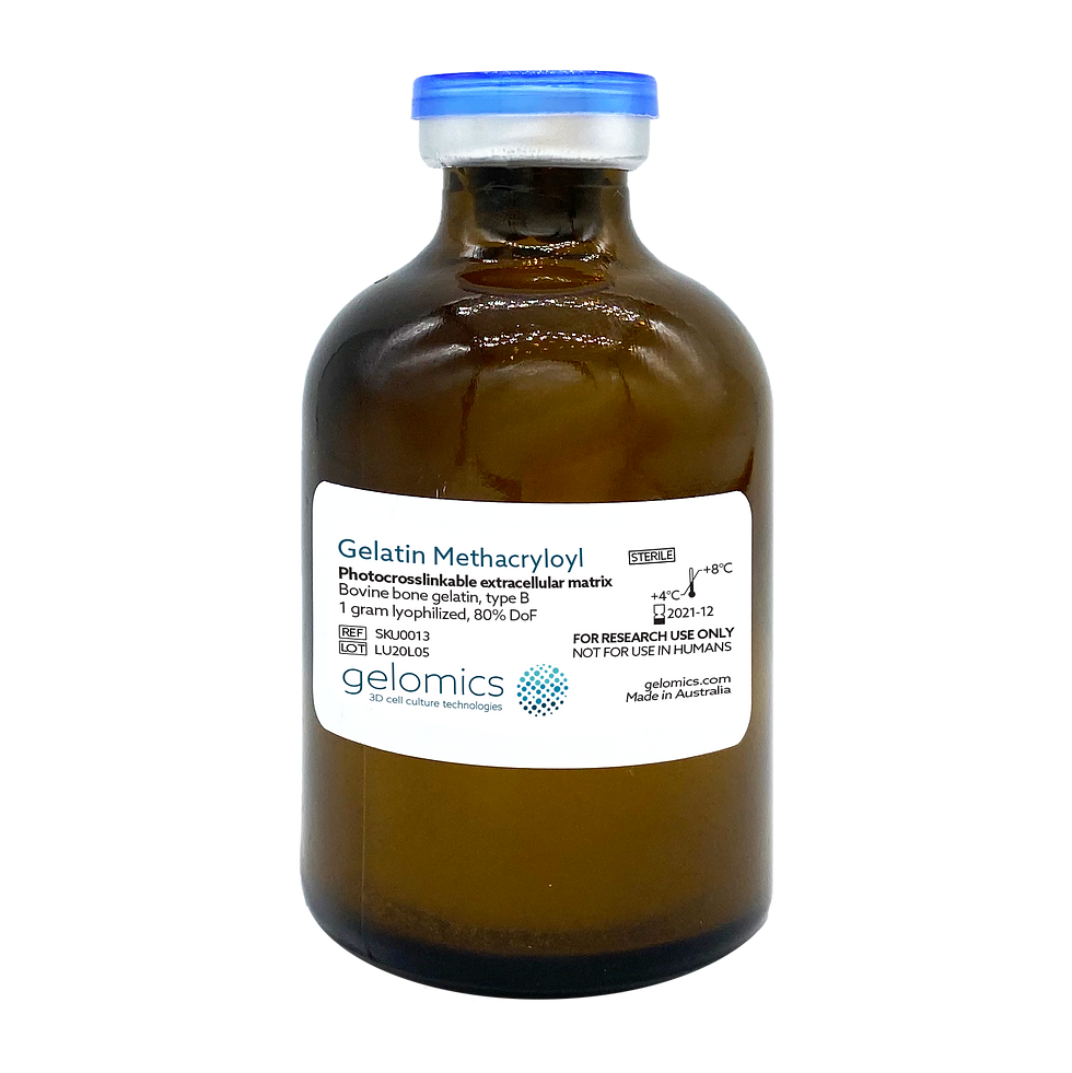 Gelatin Methacryloyl (GelMA) Bovine Bone Gelatin Gelomics