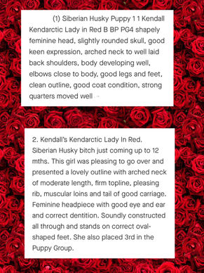 Judge Critiques For Lady In Red