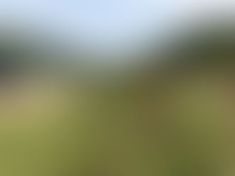 전남 화순군 이양면 메쉬휀스 시공현장 입니다.