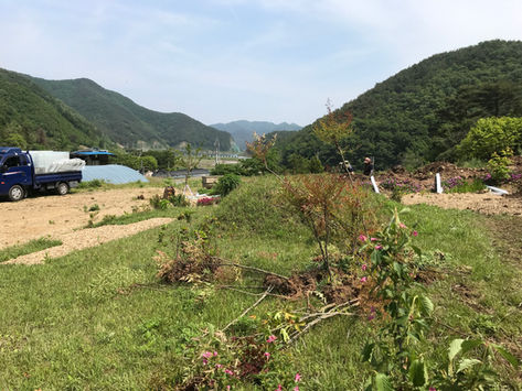 전남 화순군 이양면 메쉬휀스 시공현장 입니다.