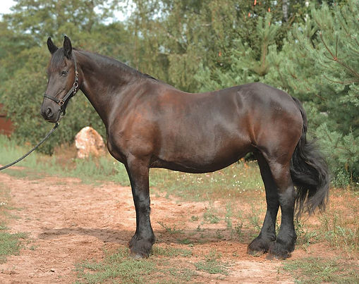 Hieke