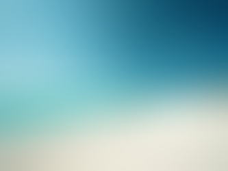 Planning Florida Beach Weddings: How to Plan the Perfect Florida Beach Wedding