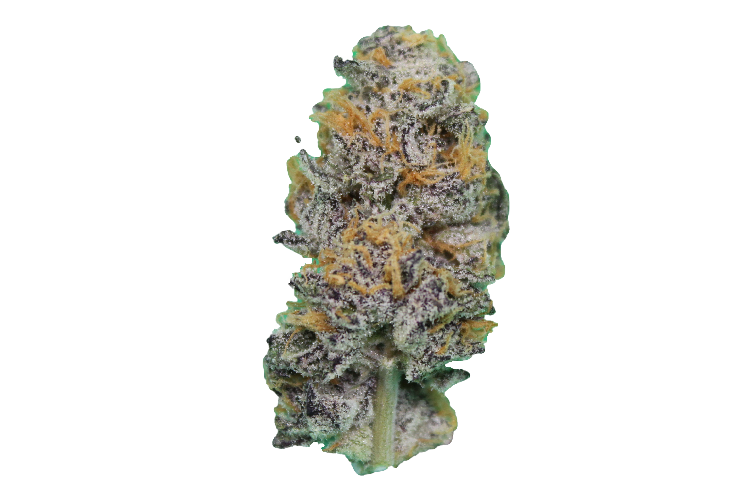 Blueberry Shortcake