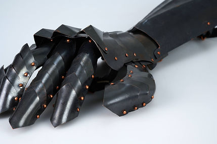 coral0165 copy.png
