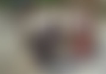 Bringing the beach to Exeter