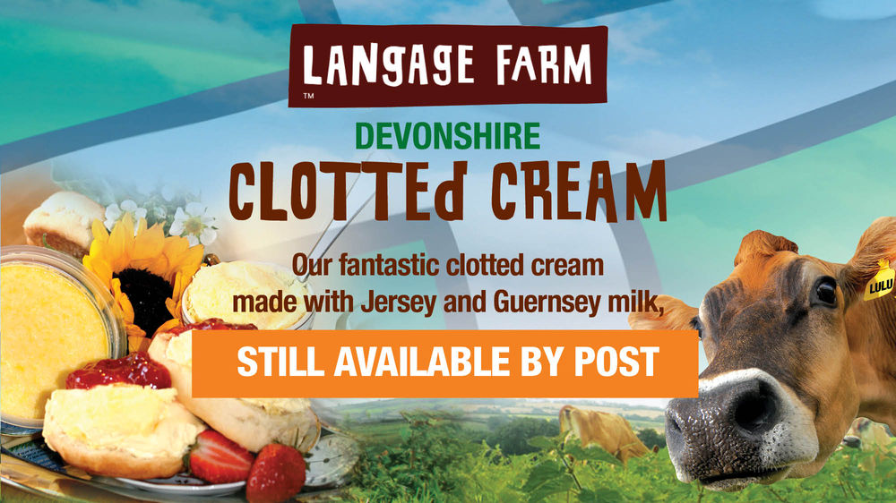 Real Devon Clotted Cream by post