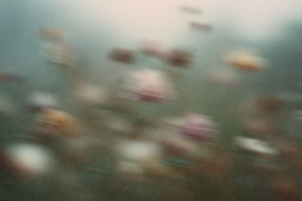 FLAYRA - 30.jpg