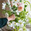 Thumbnail: THE ART OF FLOWER ARRANGING WITH PIN FROGS