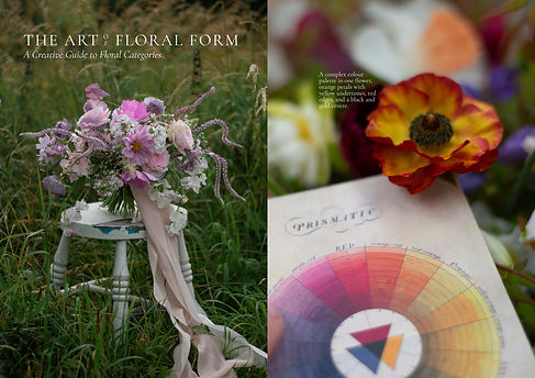 Page Spread 2.jpg