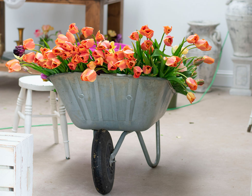 Thumbnail: THE CUTTING GARDEN