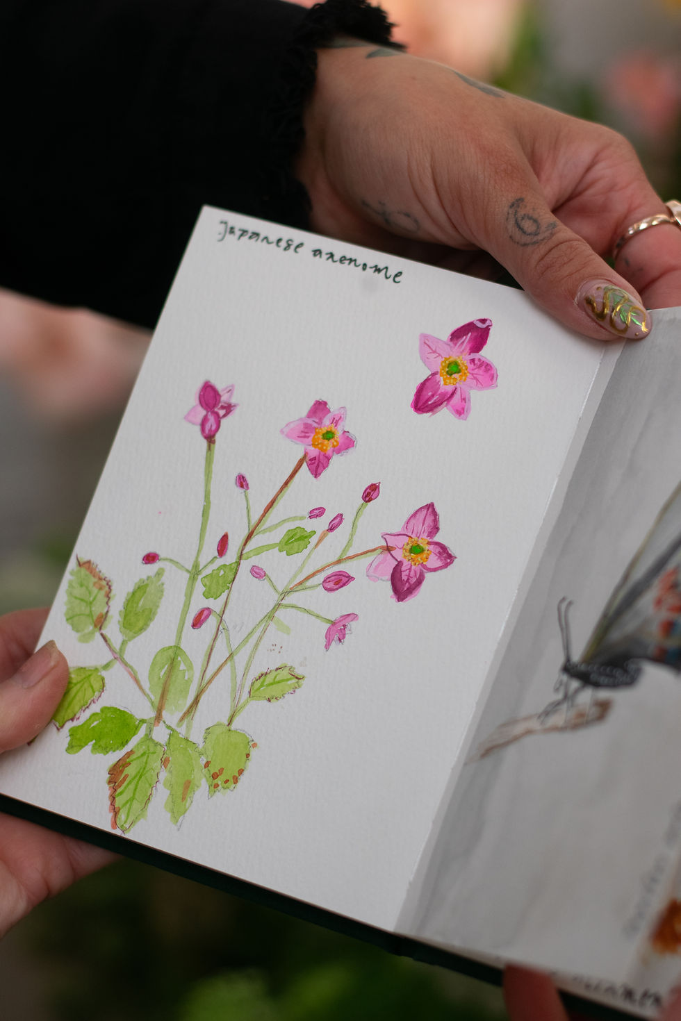 Thumbnail: THE ART OF OBSERVING FLOWERS