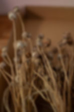 A hand holds a bridal bouquet of wild, garden flowers with long botanically dyed silk ribbons, set against a blurred grassy background.