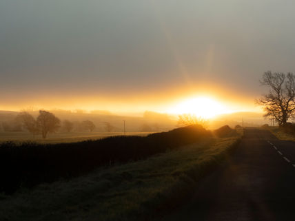 Fieldnotes, December 2021: Notes on wintering, on the longest night