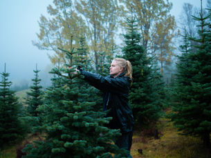 Case: Den Norske juletre skogen - Videoproduksjon for nasjonal kampanje