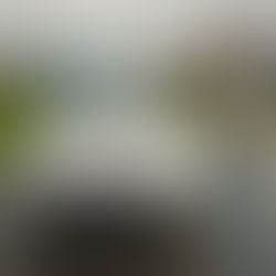 Case: BBE Trafikkskole