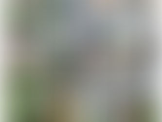 目黒区にて防草シートはり