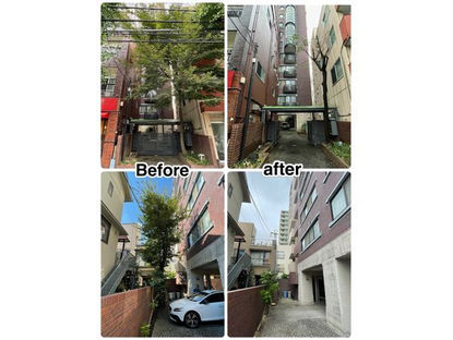 文京区向丘での伐採作業