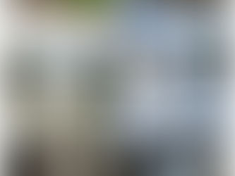 港区で空き家の除草・落ち葉清掃を行いました