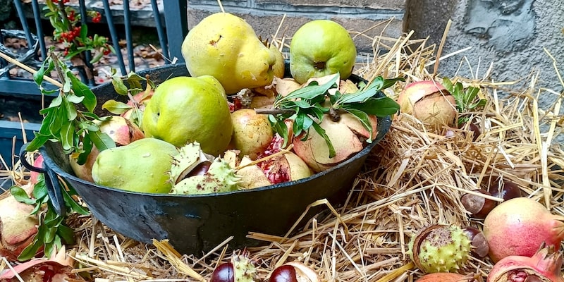 <h2 class="font_2">10 Sagre Imperdibili da Vivere in Valnerina</h2>