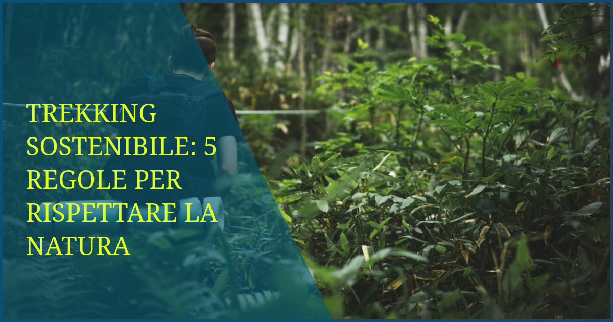 Trekking sostenibile: 5 regole per rispettare la natura