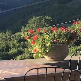 Il Lavoro da Remoto Funziona – Ma non con una Leadership da Castello Medievale