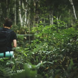Trekking sostenibile: 5 regole per rispettare la natura