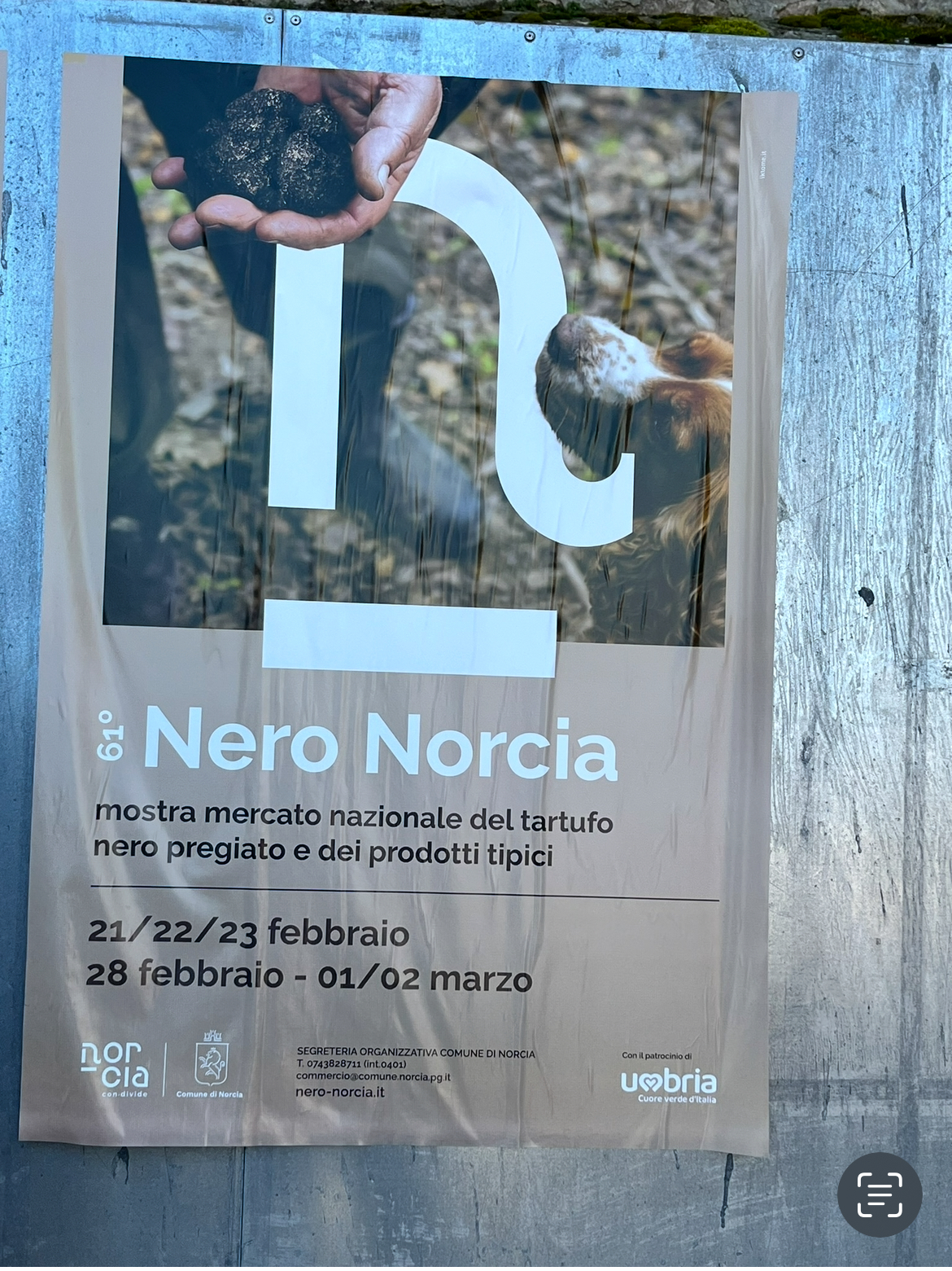 Winter Truffle Magic in Norcia and Vallo di Nera